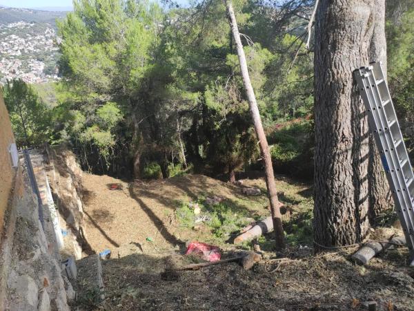 Terreno en calle Bona-Vall, 7