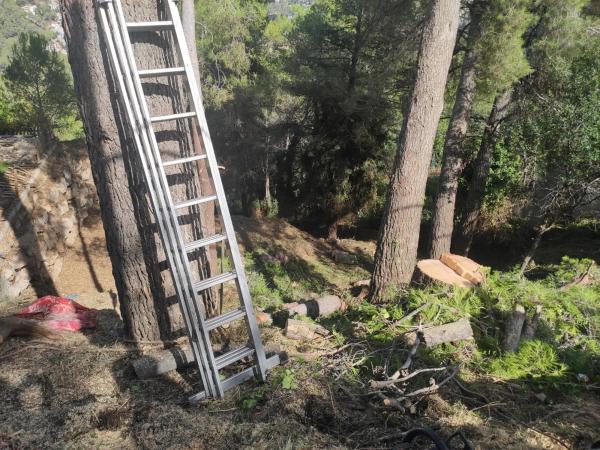Terreno en calle Bona-Vall, 7