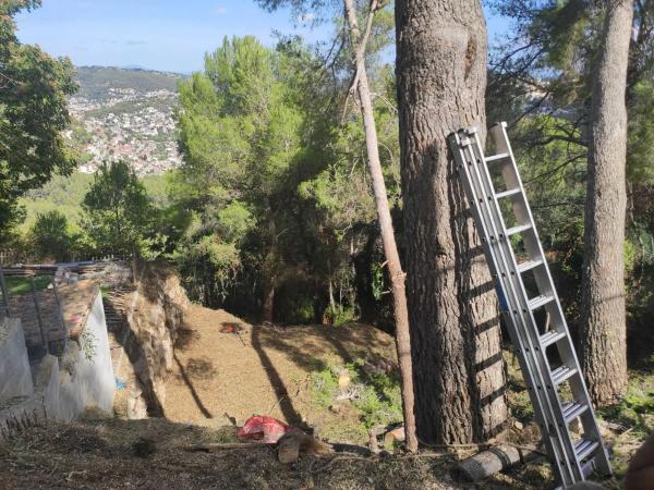 Terreno en calle Bona-Vall, 7
