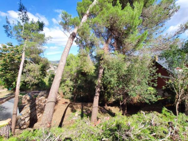 Terreno en calle Bona-Vall, 7