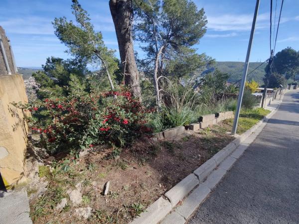 Terreno en calle Bona-Vall, 7