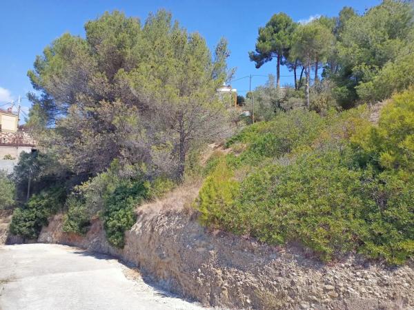 Terreno en camino de Nuria s/n