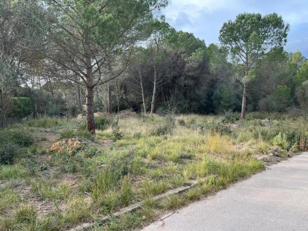 Terreno en Collbató