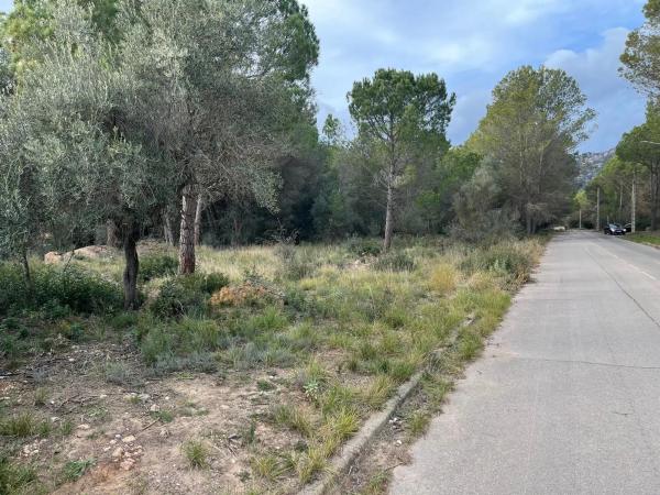 Terreno en Collbató
