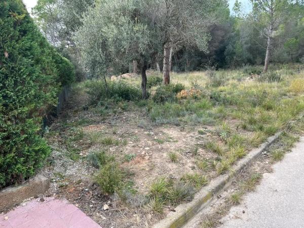 Terreno en Collbató