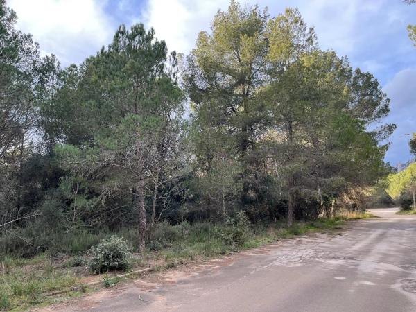 Terreno en Collbató