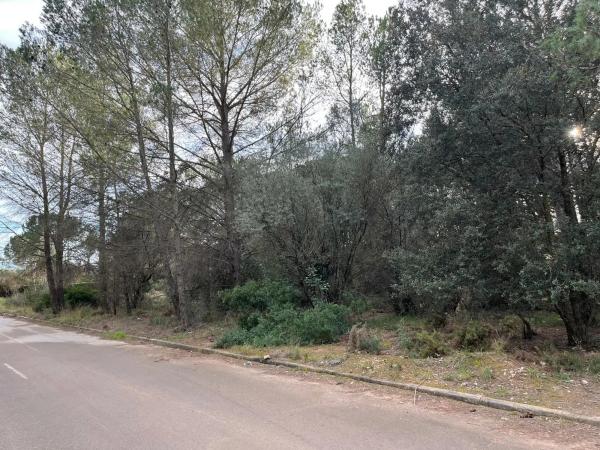 Terreno en Collbató