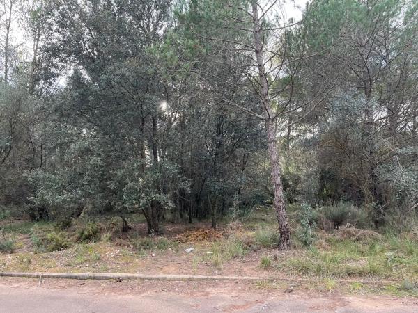 Terreno en Collbató