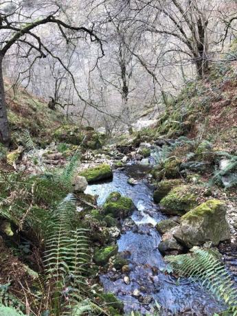 Terreno en avenida Montseny, 1