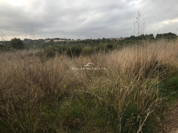 Terreno en avenida Montseny, 1
