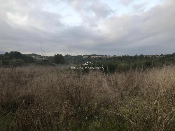 Terreno en avenida Montseny, 1