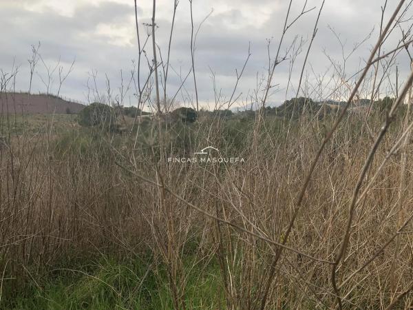 Terreno en avenida Montseny, 1