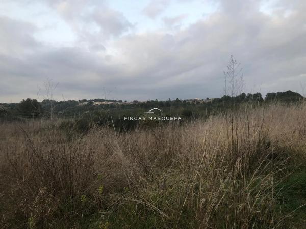 Terreno en avenida Montseny, 1