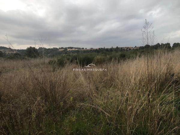 Terreno en avenida Montseny, 1