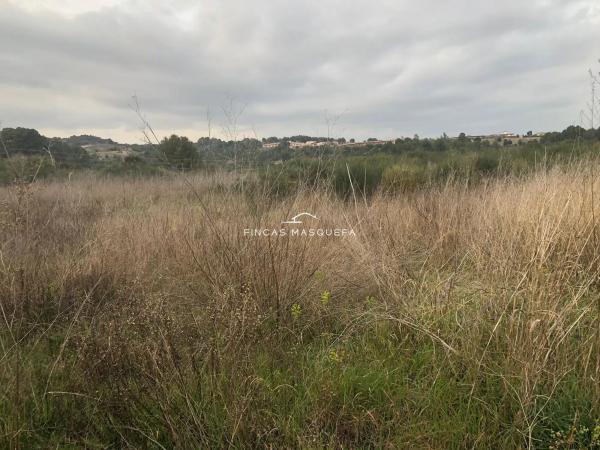 Terreno en avenida Montseny, 1