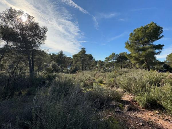 Terreno en calle de Salvador Dalí, 5