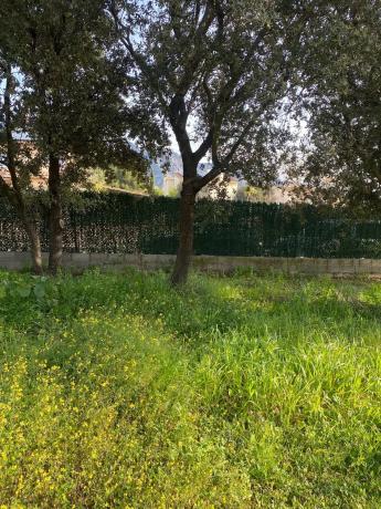 Terreno en calle Dosrius, 29