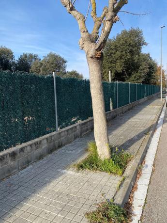 Terreno en calle Dosrius, 29