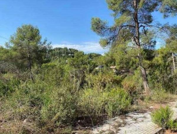 Terreno en calle Ramon Martí Alsina