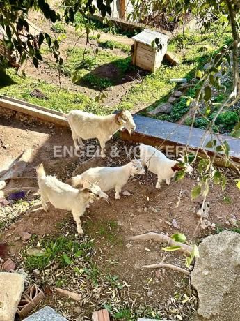 Terreno en Cervelló