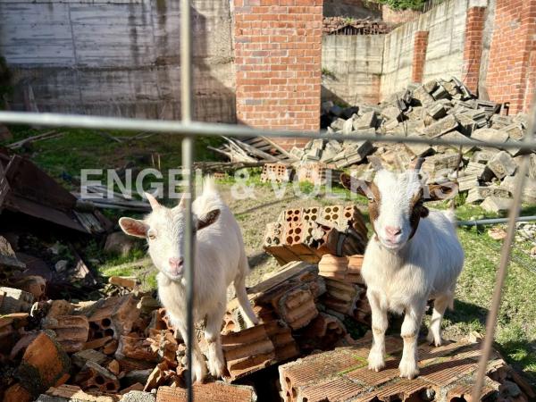 Terreno en Cervelló