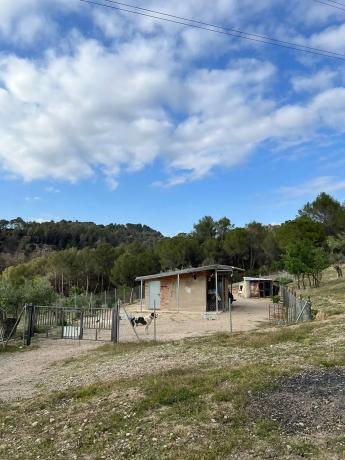 Terreno en Bv-1201, 1201 Bv