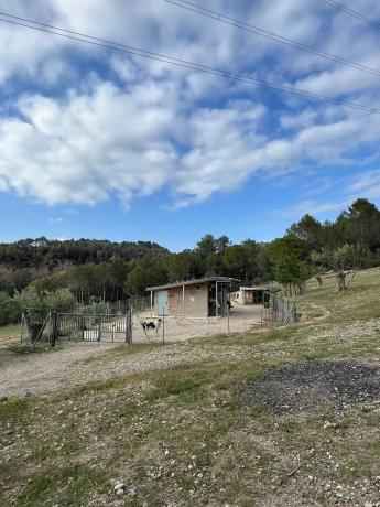 Terreno en Bv-1201, 1201 Bv