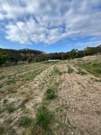 Terreno en Bv-1201, 1201 Bv