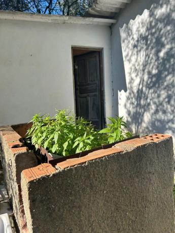 Terreno en calle de Migjorn