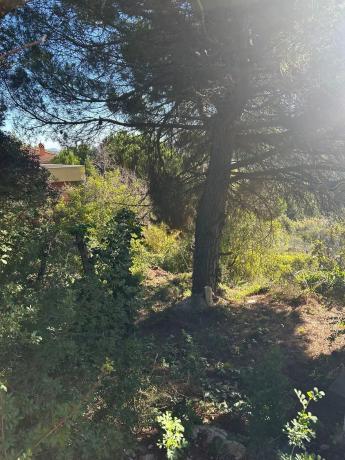 Terreno en calle de Migjorn