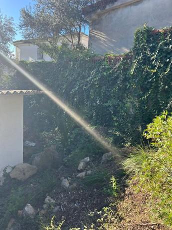 Terreno en calle de Migjorn