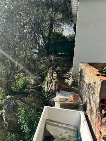 Terreno en calle de Migjorn