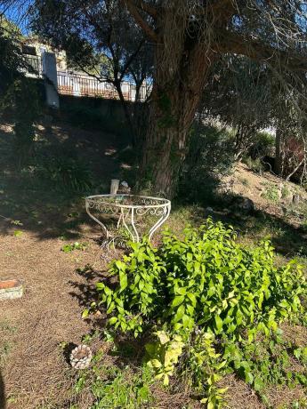 Terreno en calle de Migjorn