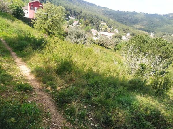 Terreno en calle de Ca n'Armengol s/n