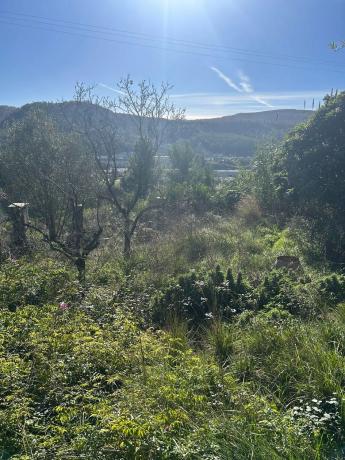 Terreno en calle de Migjorn