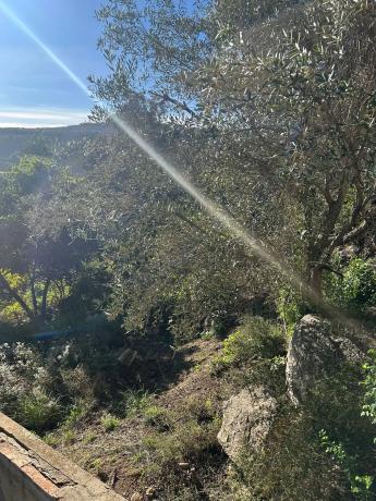 Terreno en calle de Migjorn