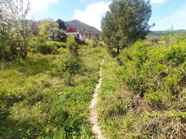 Terreno en calle de Ca n'Armengol s/n