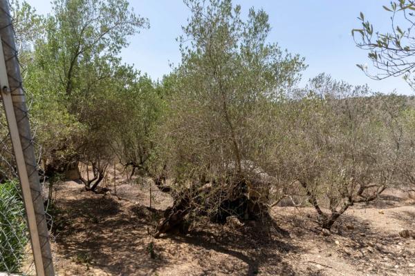 Terreno en Olesa de Montserrat