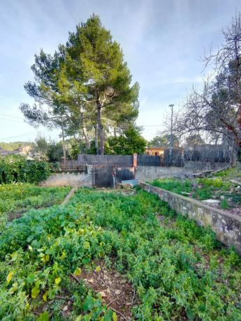 Terreno en calle de Barcelona