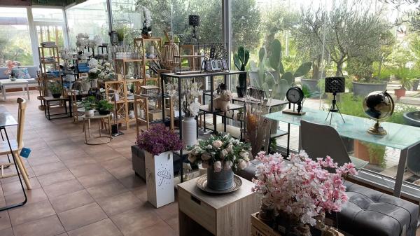 Terreno en C-55, km 2