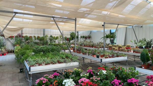 Terreno en C-55, km 2