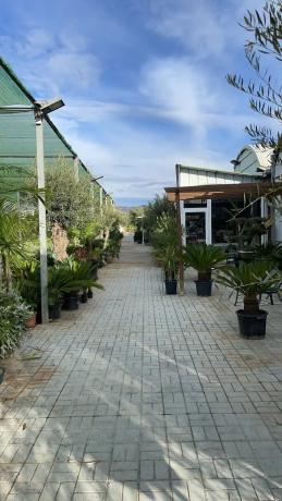 Terreno en C-55, km 2