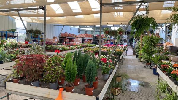 Terreno en C-55, km 2