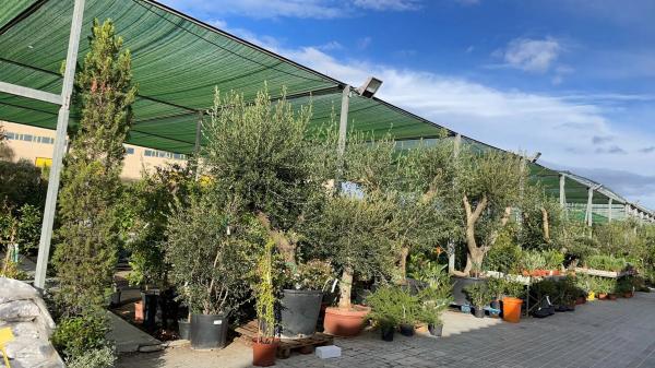 Terreno en C-55, km 2