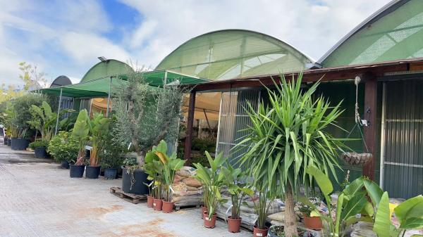 Terreno en C-55, km 2