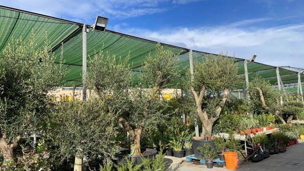 Terreno en C-55, km 2