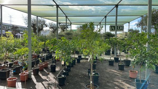 Terreno en C-55, km 2