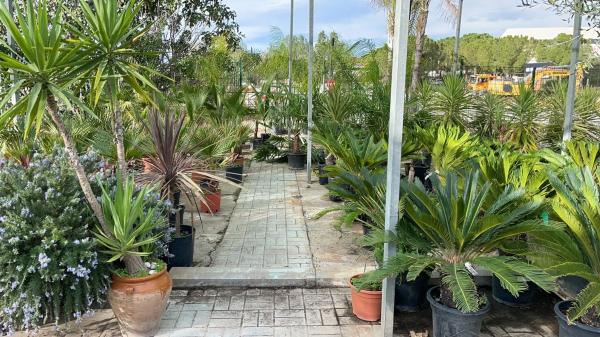 Terreno en C-55, km 2