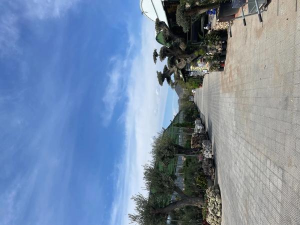 Terreno en C-55, km 2