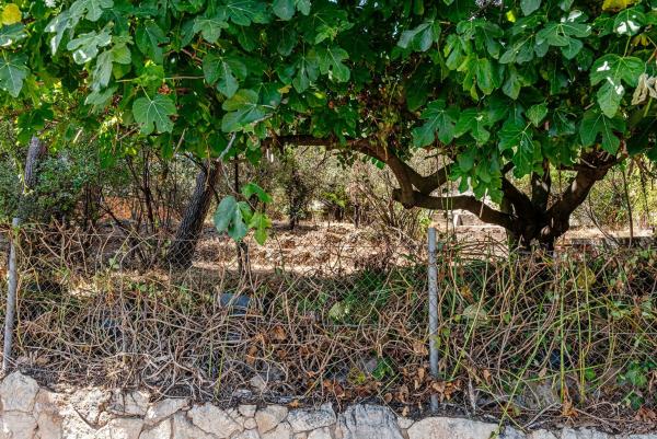 Terreno en via Doctor Josep Maria Tarruella